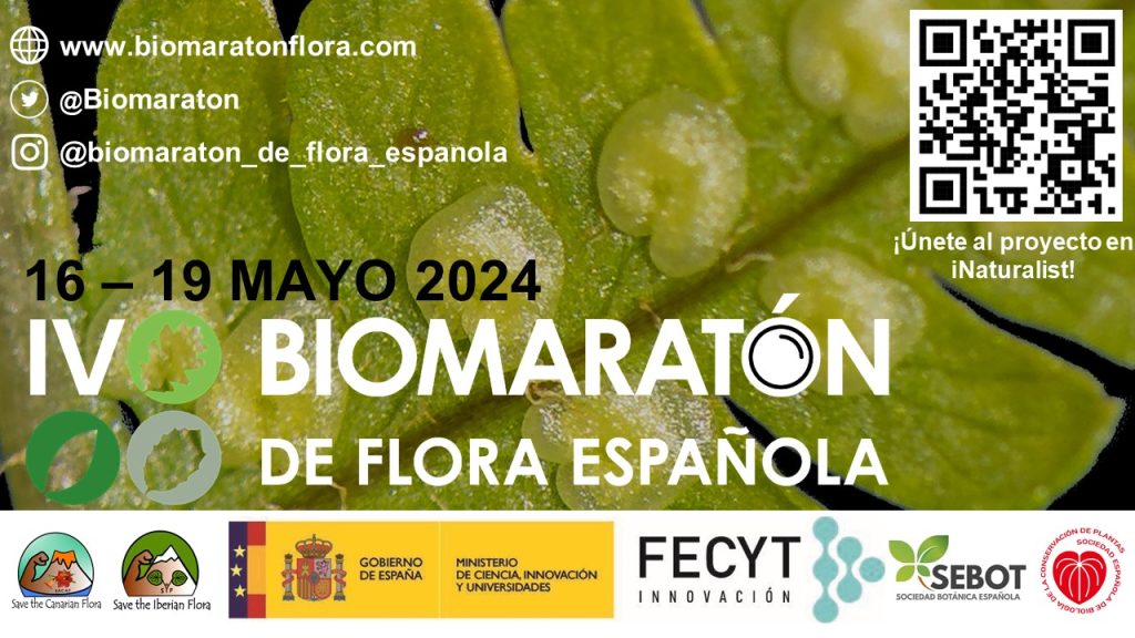 El alumnado y profesorado de IESO Berriozar en la Biomaratón de Flora Española